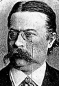 Ernst von Wildenbruch